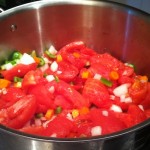 Tomato Sauce Mixture