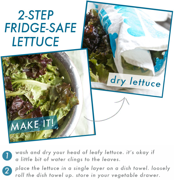 MAKEIT!_dry lettuce
