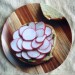 Custom Melamine Plates from Zazzle | Big Girls Small Kitchen