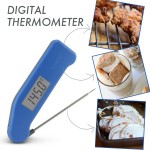 Why to Own a Kitchen Thermometer